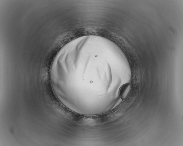 X0000112080706200908251104