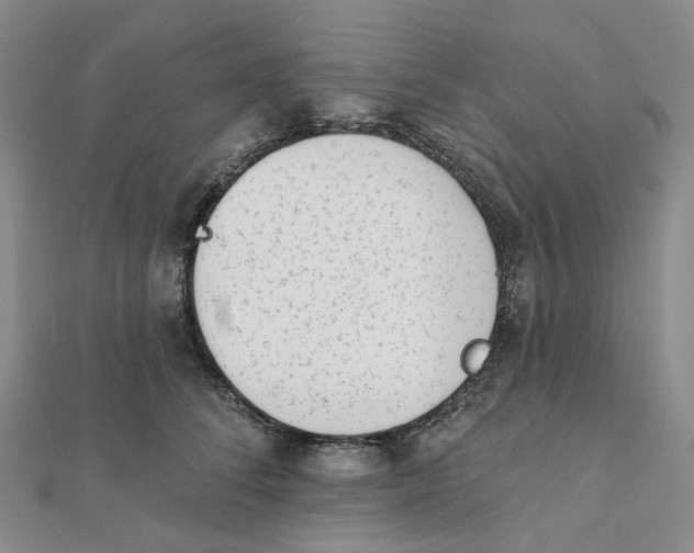 X0000112080708200908251104