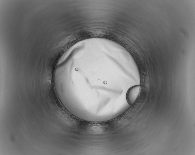 X0000112080710200908251104