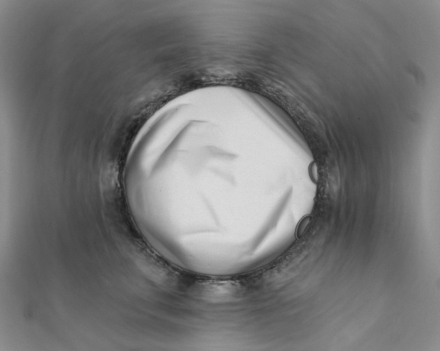 X0000112080711200908251104