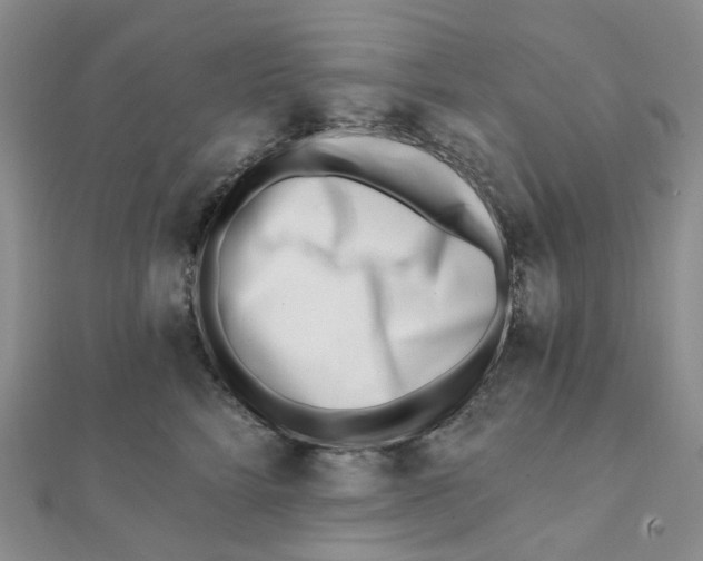 X0000112080712200908251104