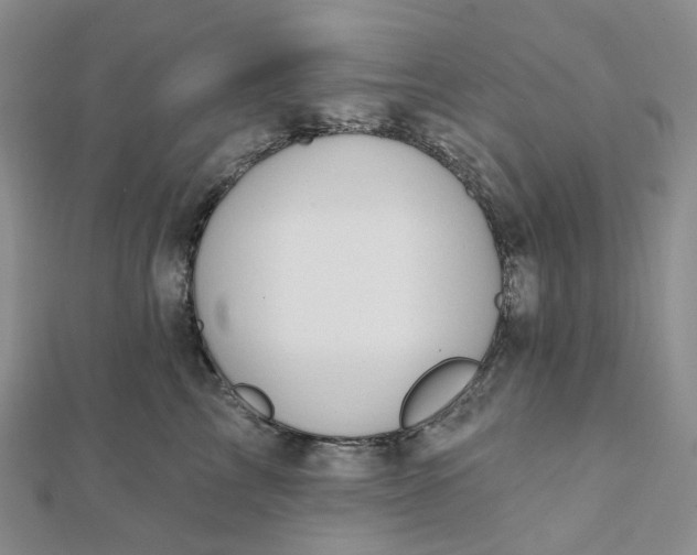 X0000112080713200908251104