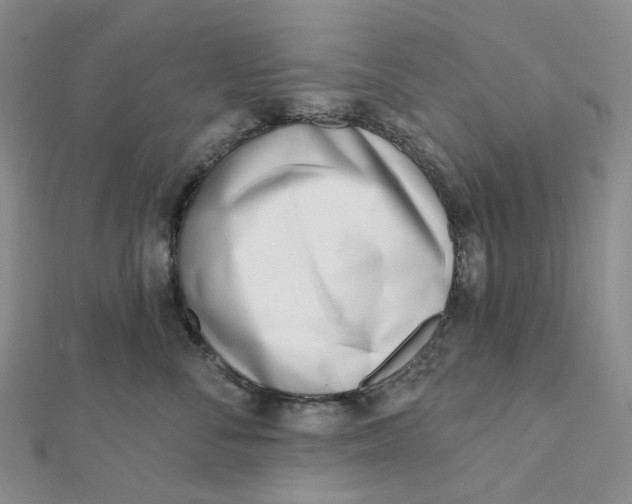 X0000112080716200908251104