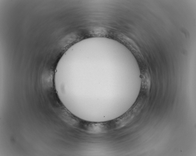 X0000112080717200908251104