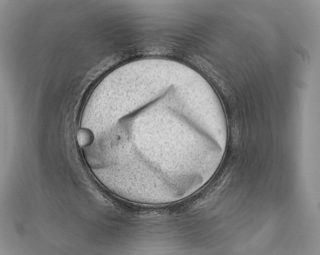 X0000112080721200908251104