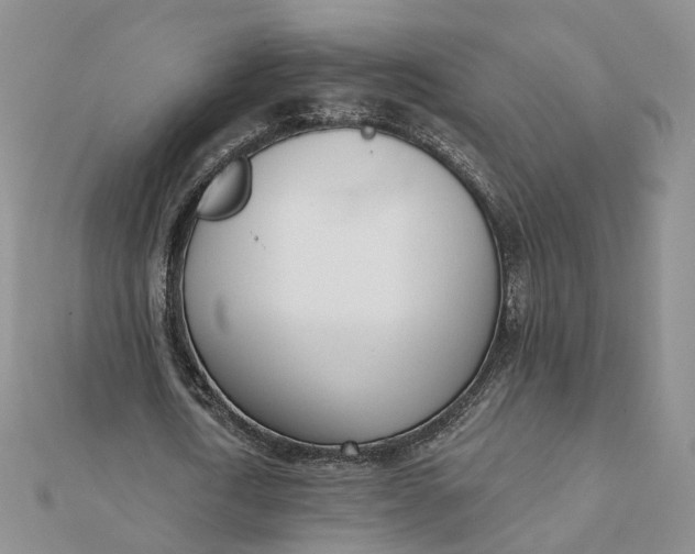 X0000112080722200908251104