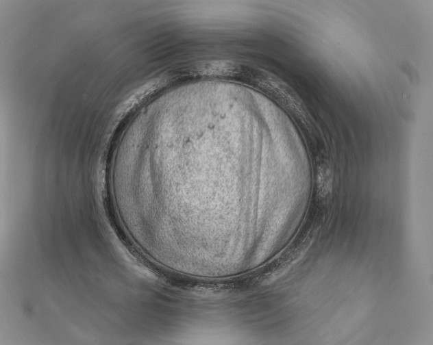 X0000112080725200908251104