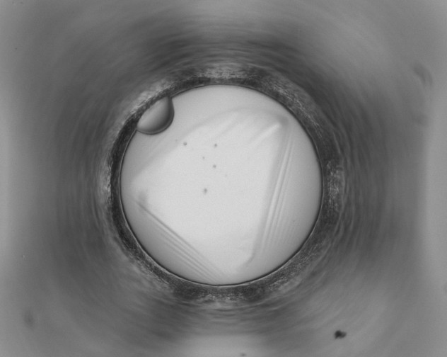 X0000112080727200908251104