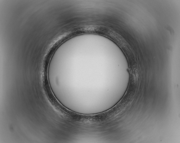 X0000112080728200908251104