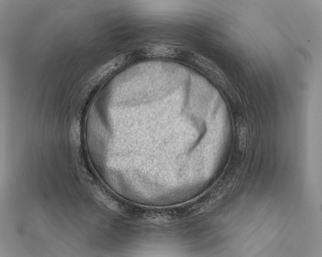 X0000112080729200908251104