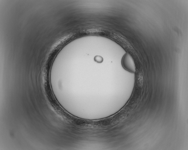 X0000112080732200908251104