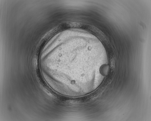 X0000112080733200908251104