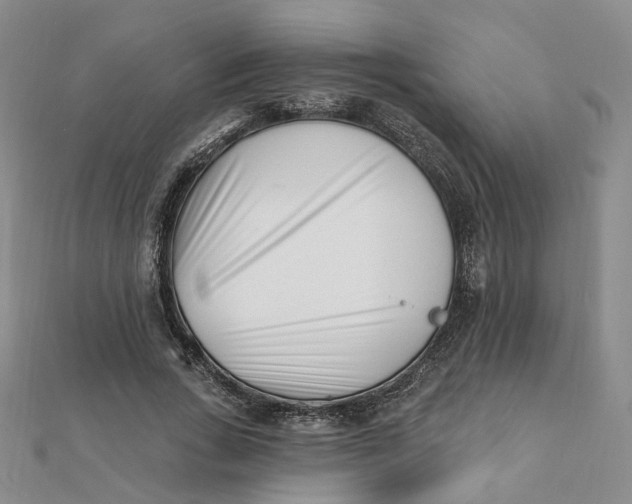 X0000112080735200908251104