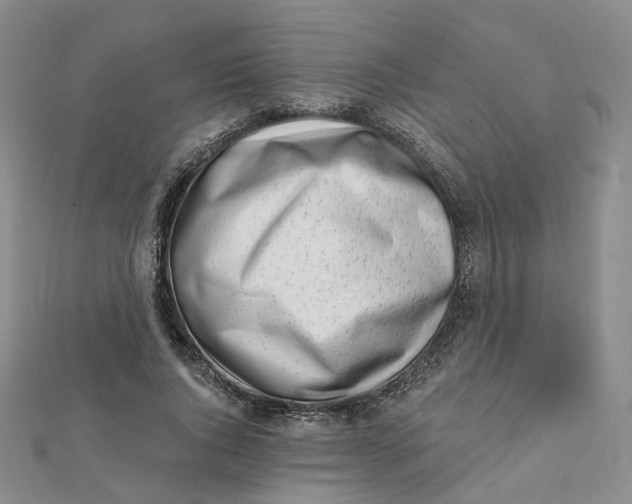 X0000112080736200908251104