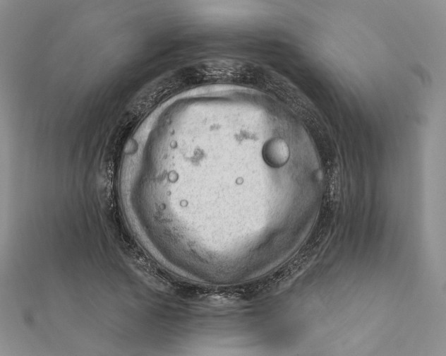 X0000112080737200908251104