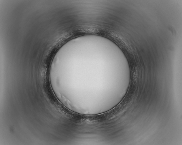 X0000112080739200908251104