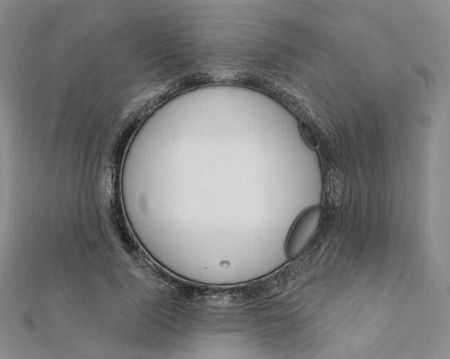 X0000112080740200908251104