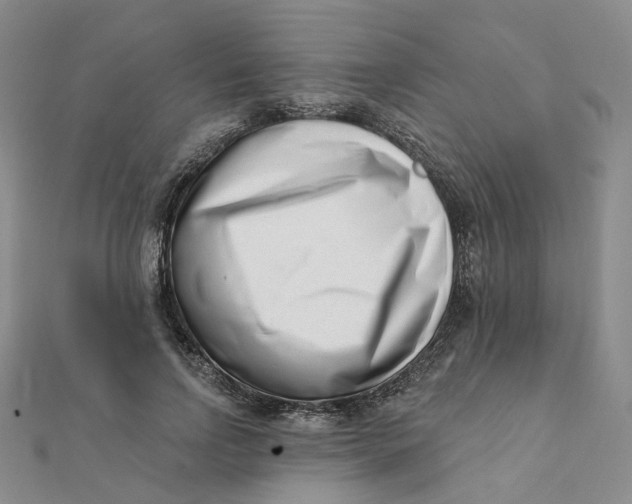 X0000112080742200908251104