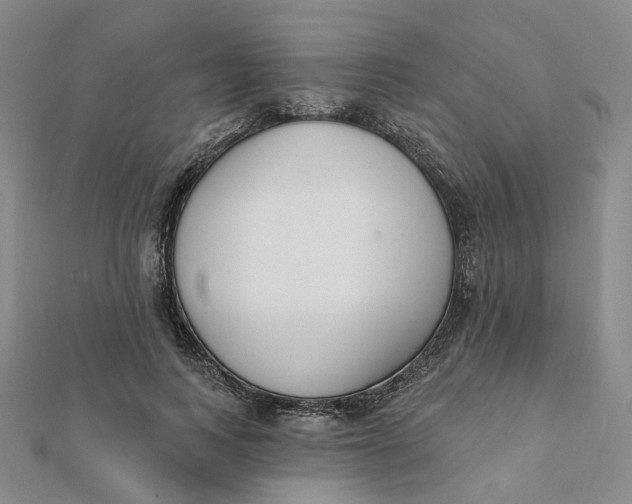 X0000112080743200908251104