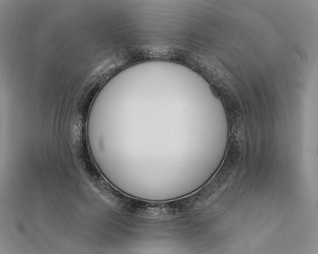 X0000112080744200908251104