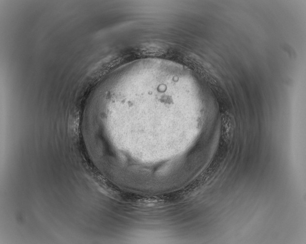 X0000112080745200908251104