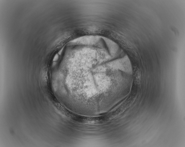 X0000112080746200908251104