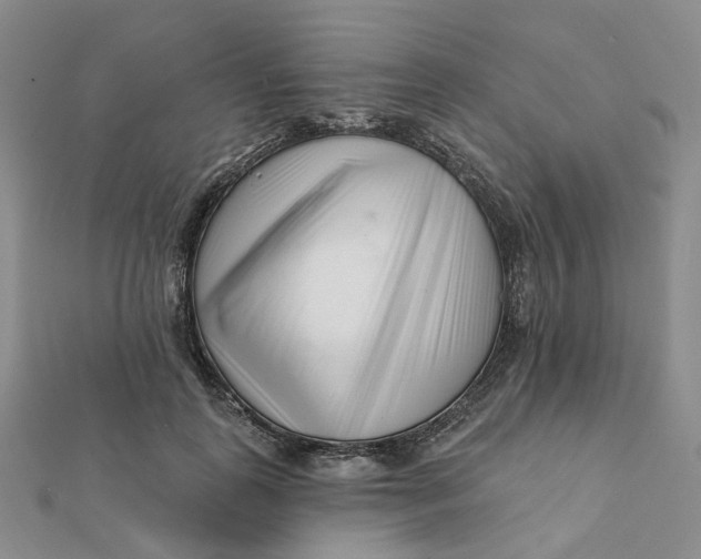 X0000112080747200908251104