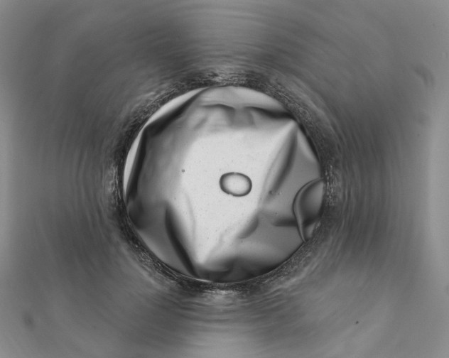 X0000112080748200908251104