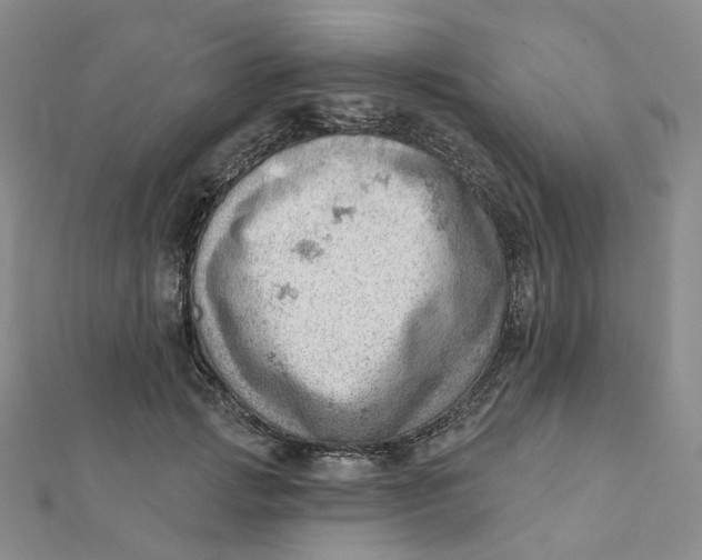 X0000112080749200908251104