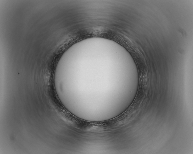 X0000112080750200908251104