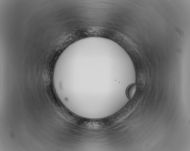 X0000112080751200908251104