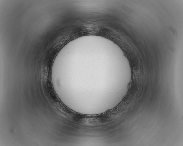 X0000112080752200908251104