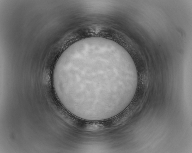 X0000112080754200908251104