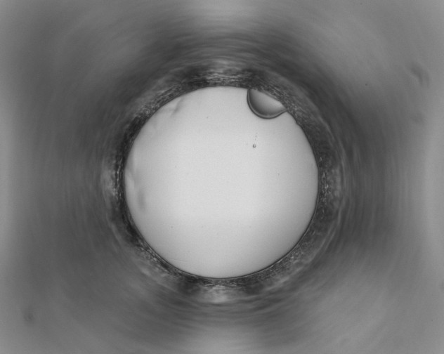 X0000112080755200908251104