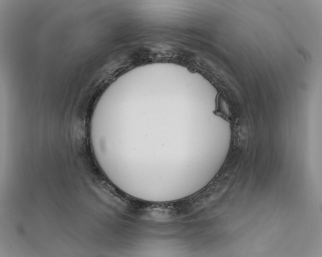 X0000112080756200908251104