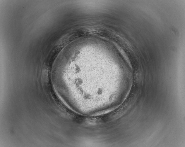 X0000112080757200908251104