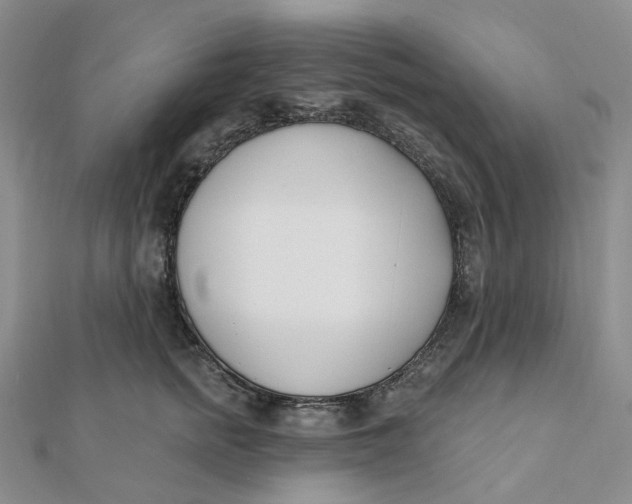 X0000112080758200908251104