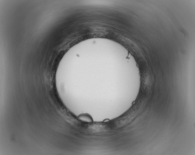 X0000112080759200908251104