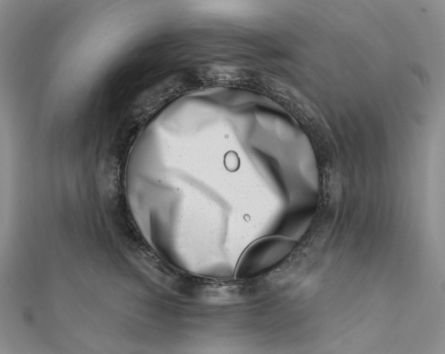 X0000112080760200908251104