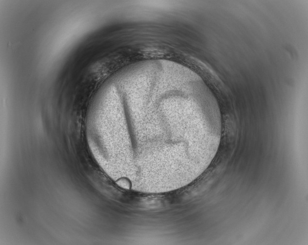 X0000112080761200908251104