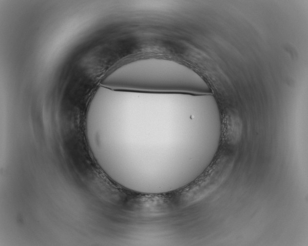 X0000112080762200908251104