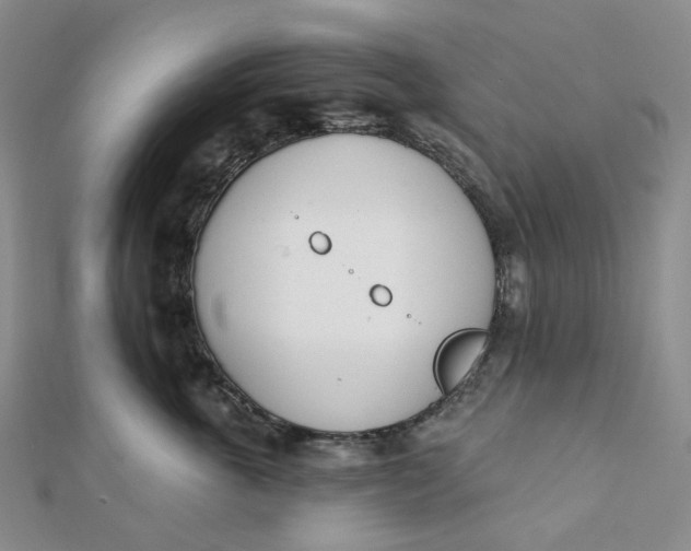 X0000112080763200908251104