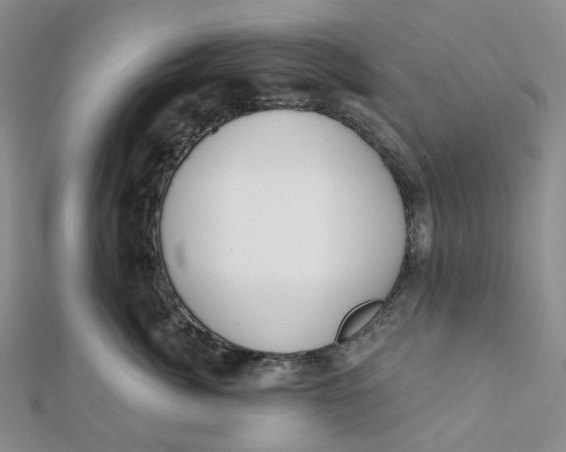 X0000112080764200908251104