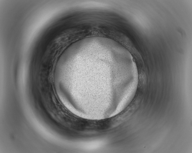 X0000112080765200908251104