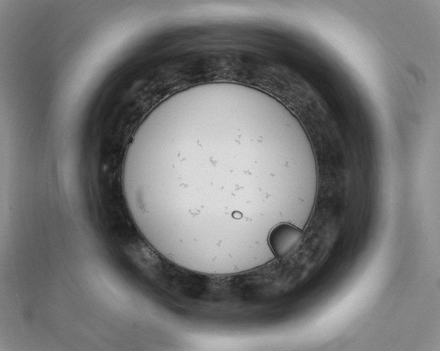 X0000112080766200908251104