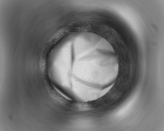 X0000112080767200908251104