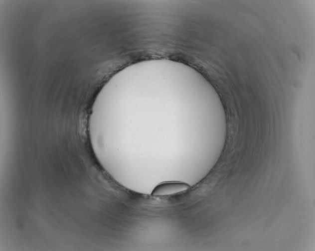 X0000112080768200908251104