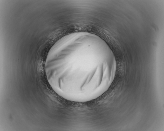 X0000112080770200908251104