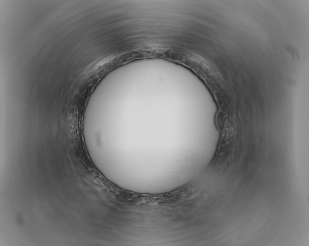 X0000112080773200908251103