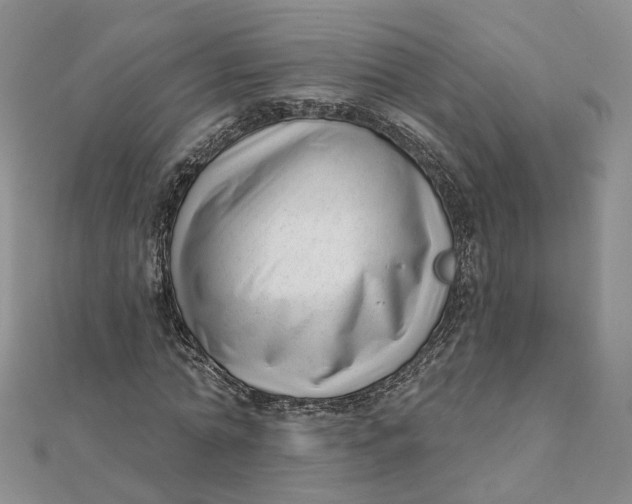 X0000112080774200908251103